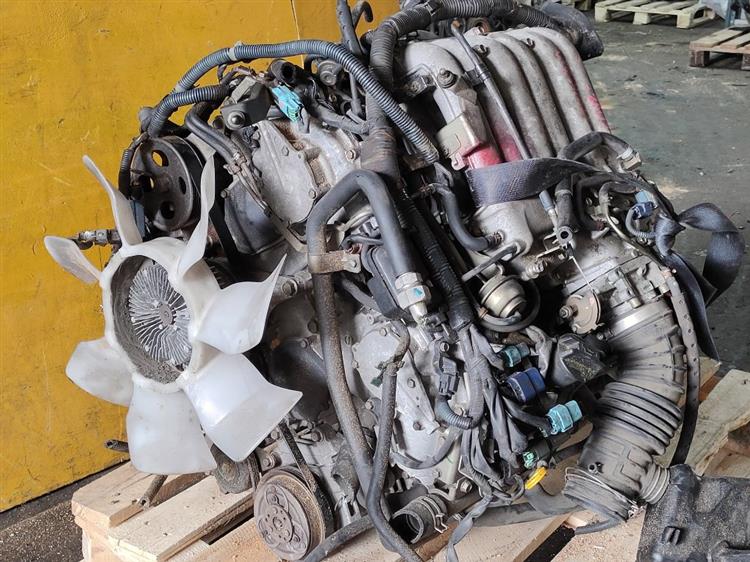 Двигатель Ниссан Эльгранд в Армавире 51254